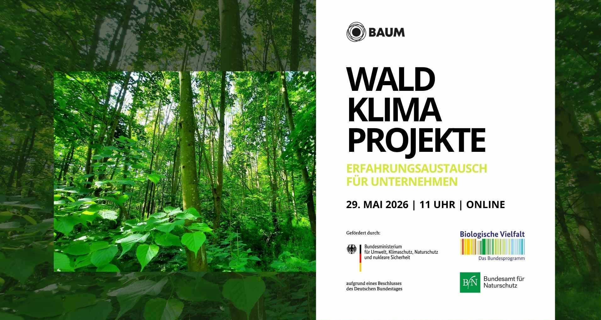 Waldklimaprojekte – Erfahrungsaustausch für Unternehmen
