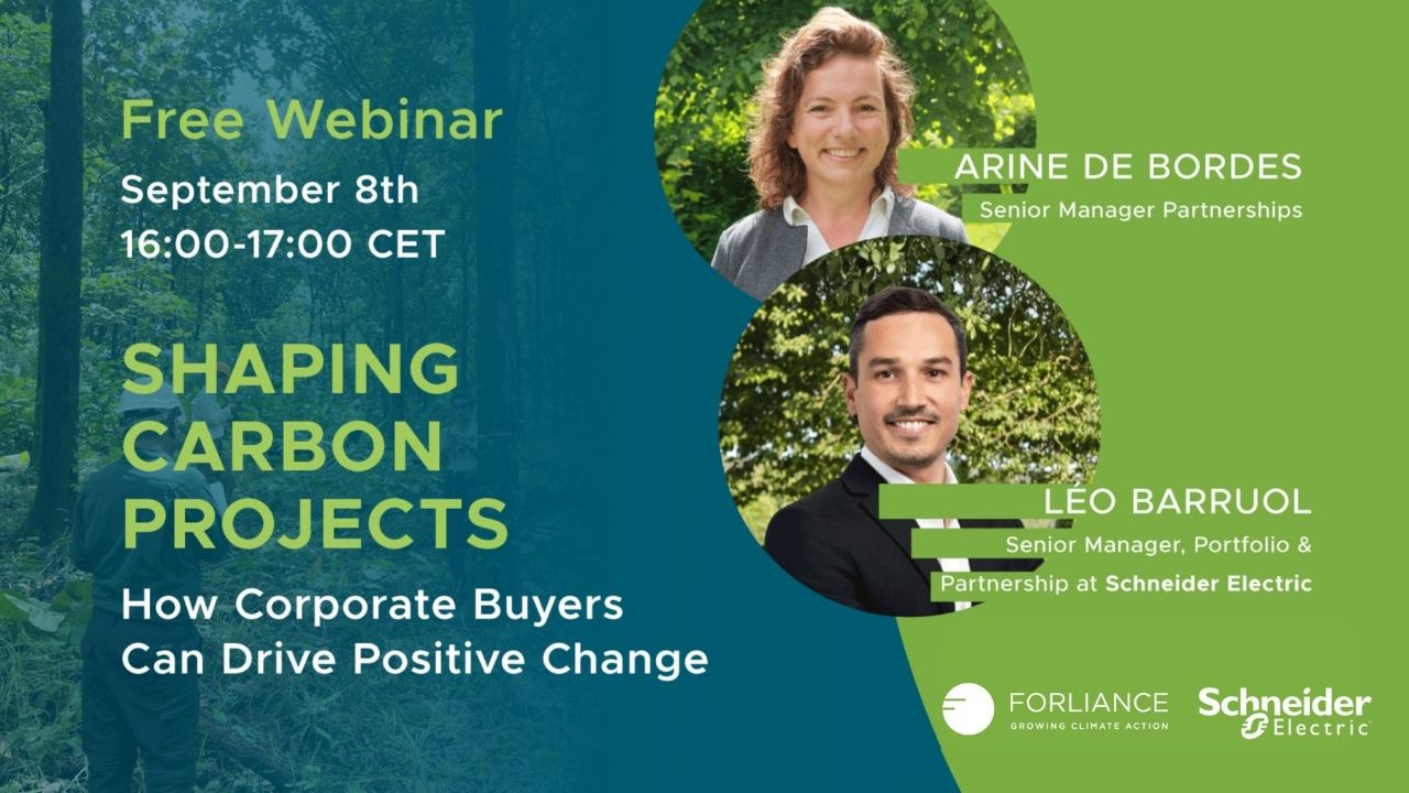 Shaping Carbon Projects: How Corporate Buyers Drive Change