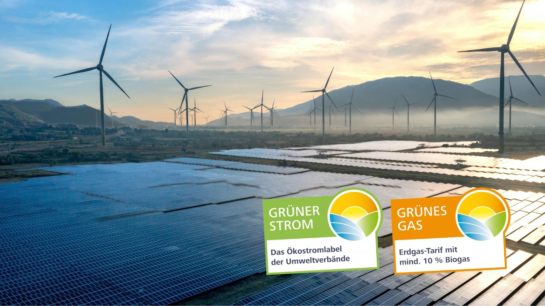 Grüner Strom-zertifizierter Ökostrom erreicht Rekordwert