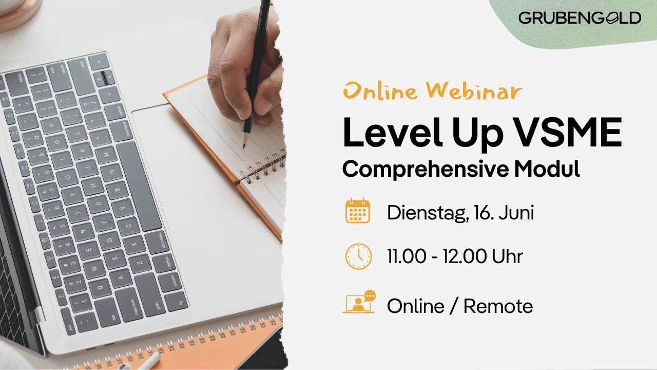 Webinar: Level Up VSME-Bericht