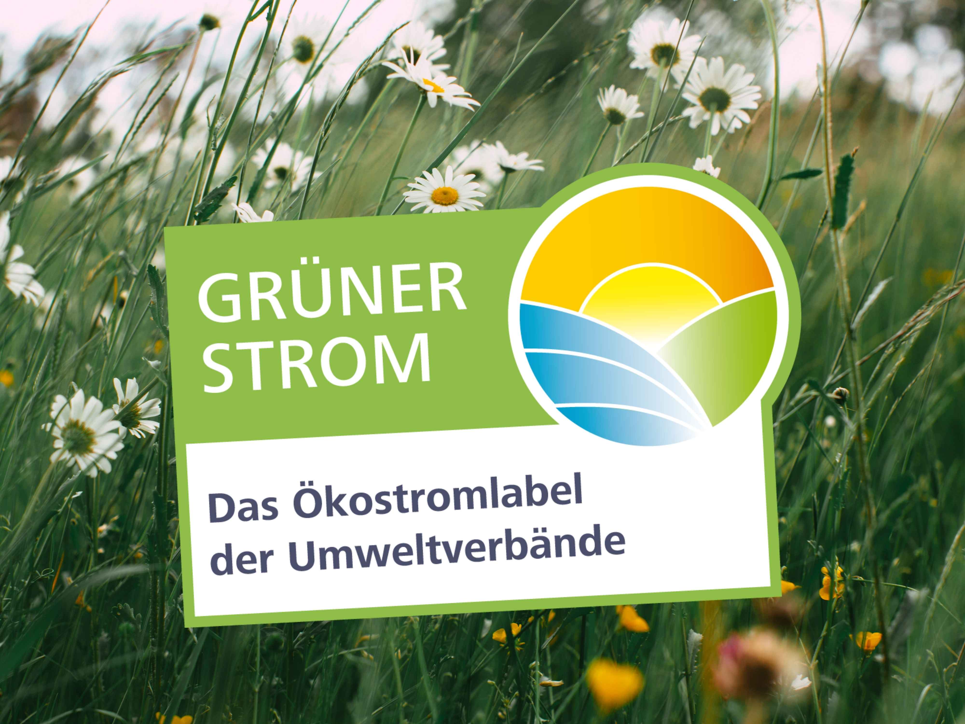 238 Stromtarife tragen das Grüner Strom-Label