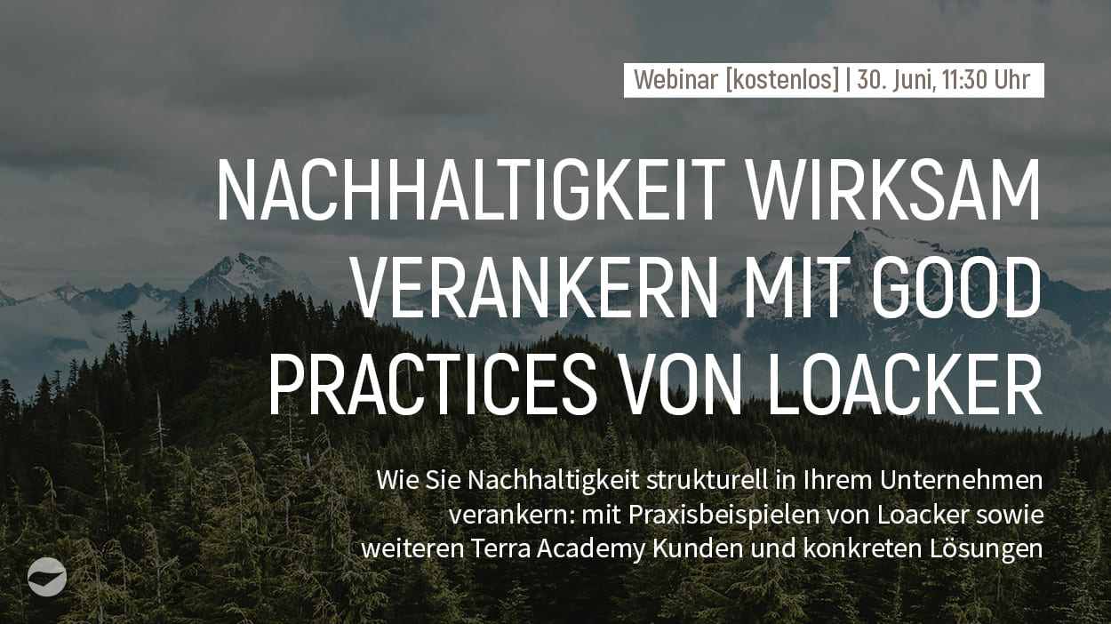 Nachhaltigkeit wirksam verankern: How To & Good Practices