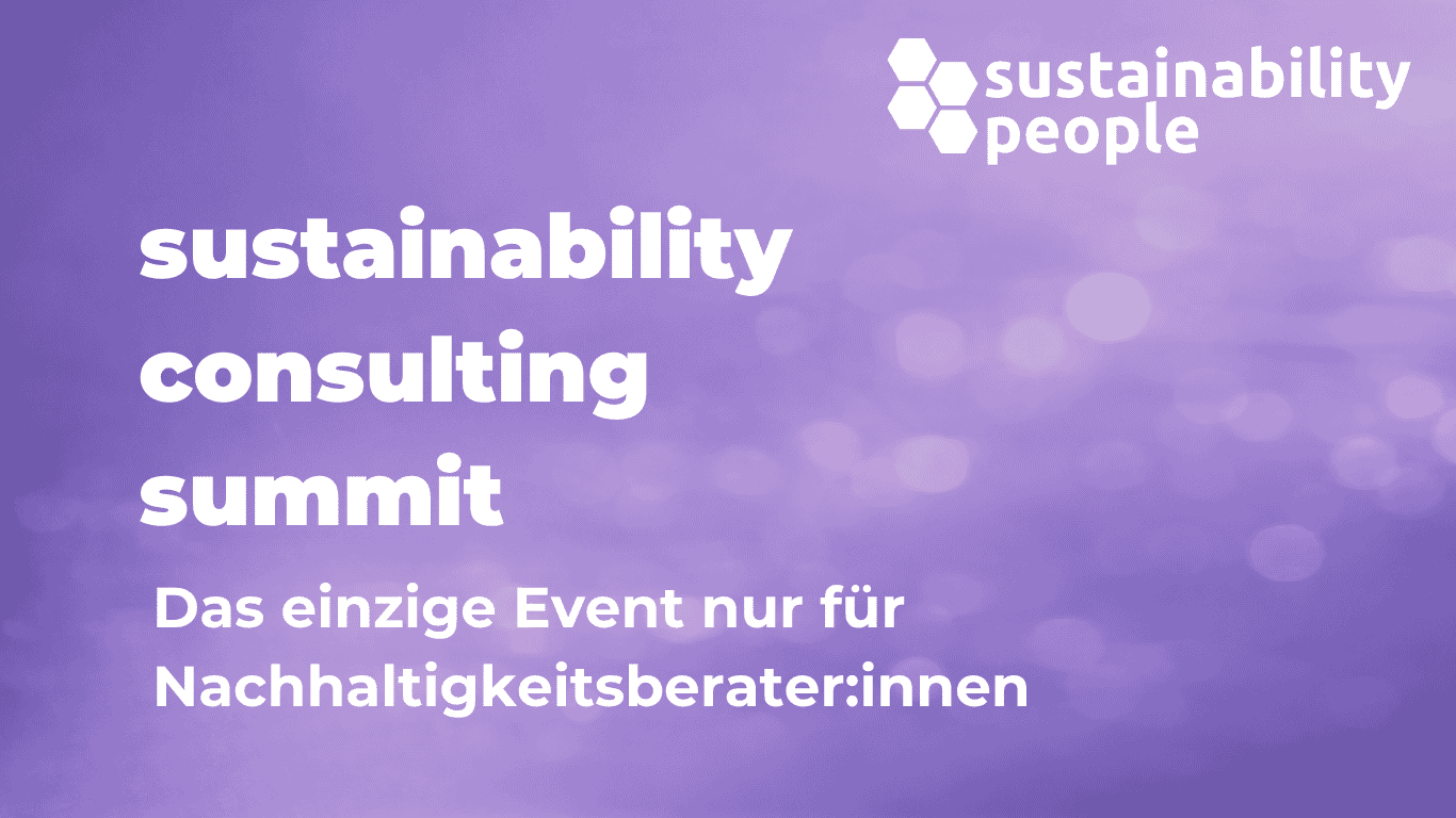 sustainability consulting summit