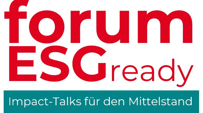 VSME (Voluntary Sustainability Reporting Standard for SME)